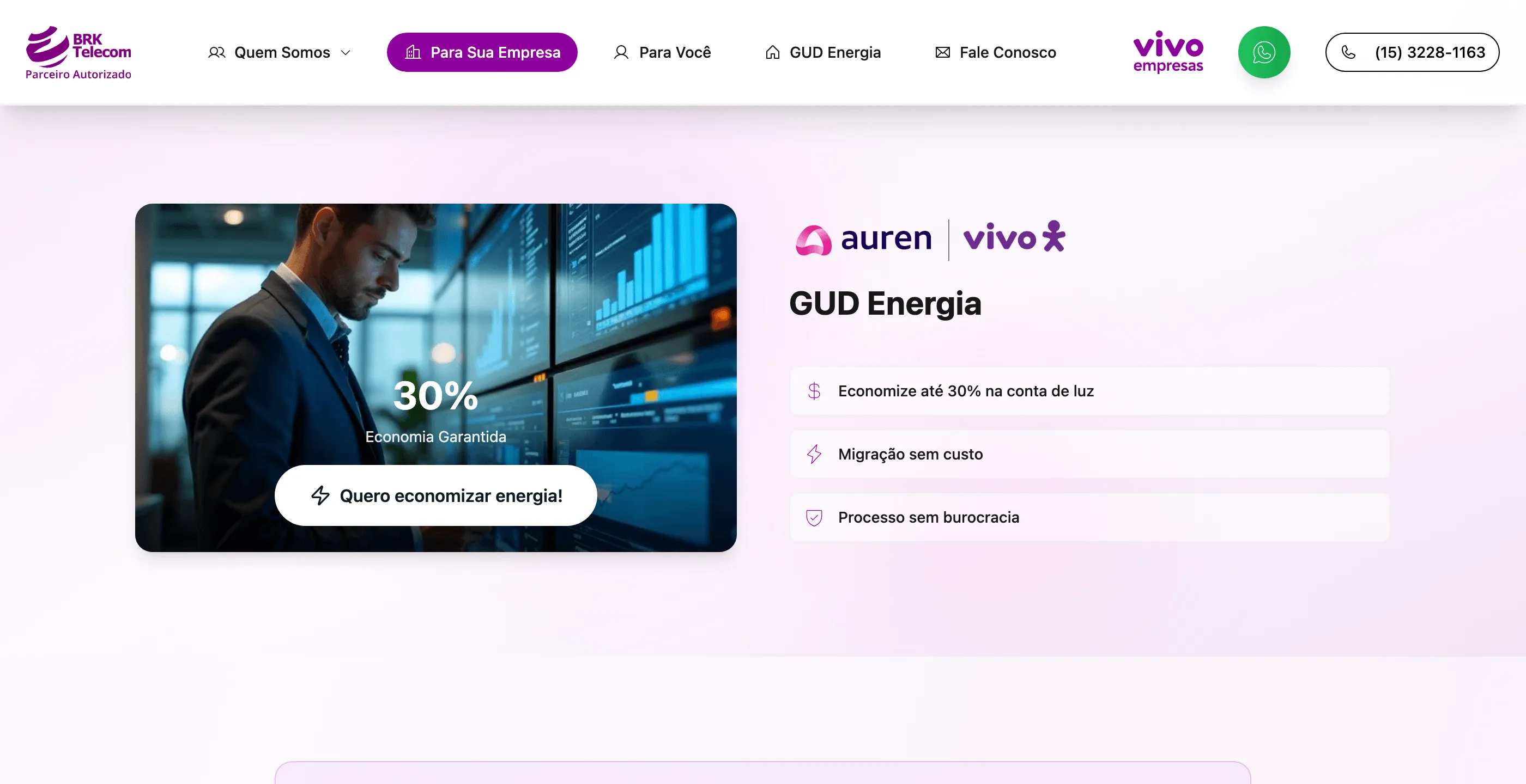 Energy block inside the business page, with a savings image and three benefits