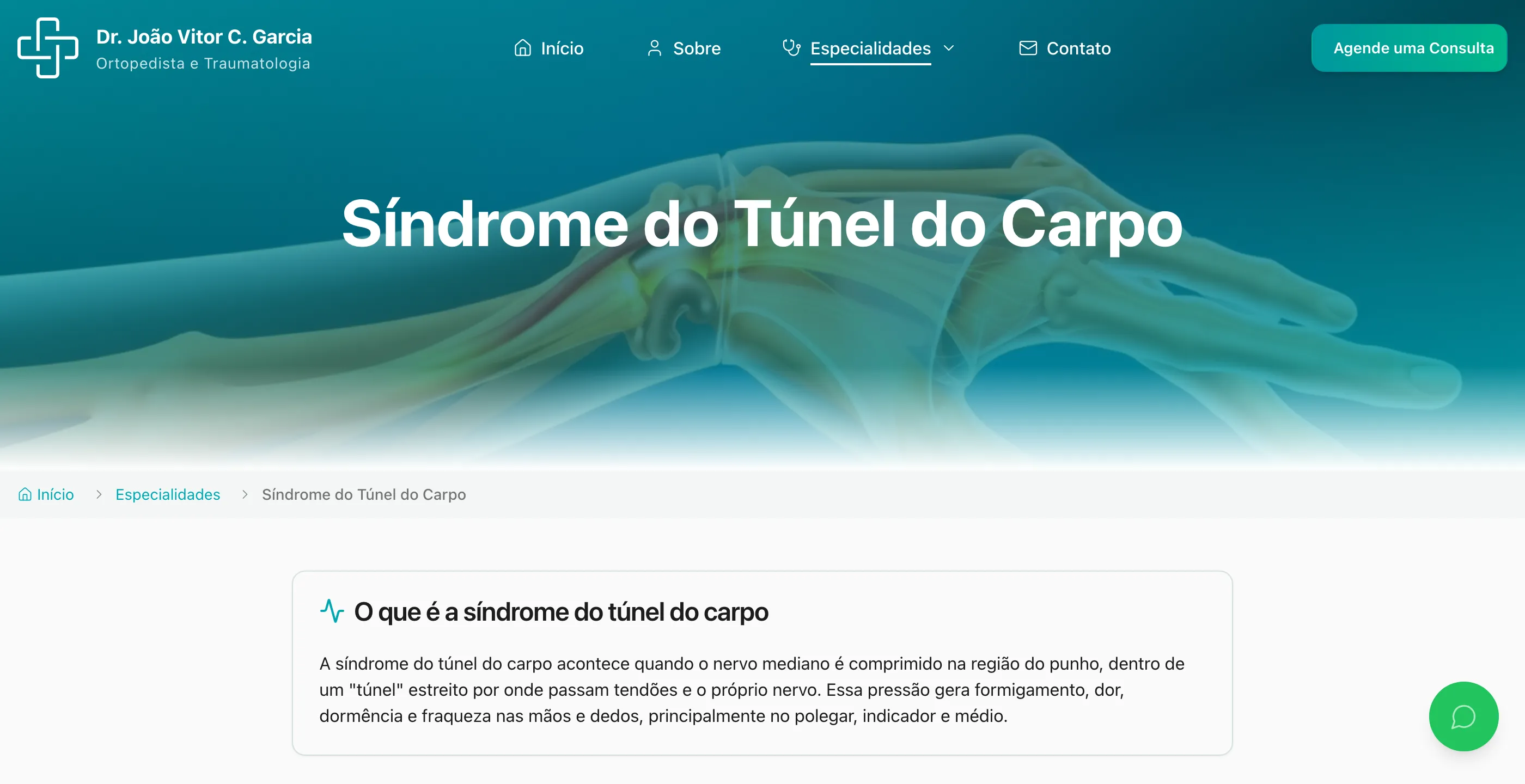 Página da síndrome do túnel do carpo com banner ilustrado e breadcrumb